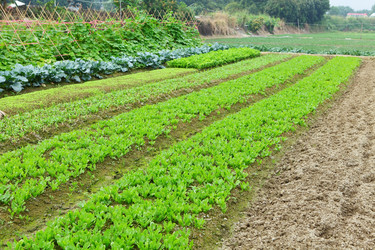 Similar image 6081475