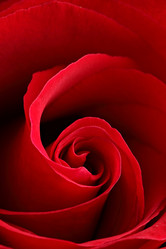 Similar image 6081488