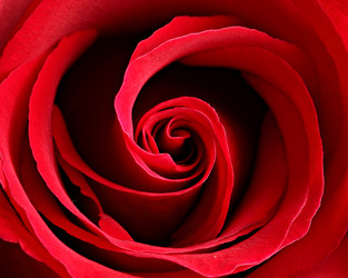 Similar image 6081490