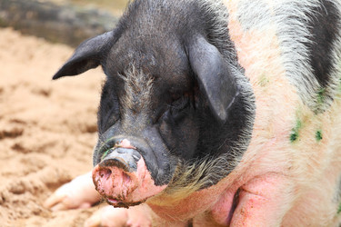 Similar image 6081493