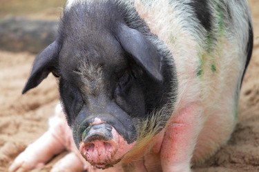 Similar image 6081495