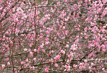 Similar image 6081499