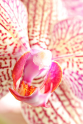 Similar image 6081500