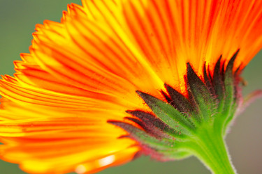 Similar image 6081527