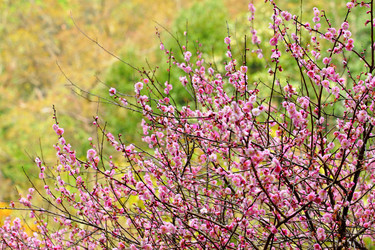 Similar image 6081547