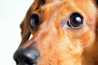 Similar image 6081635