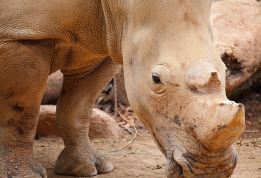 Similar image 6081723