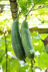 Similar image 6081728