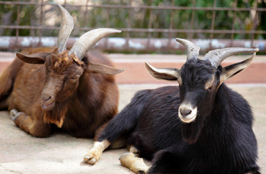 Similar image 6081745