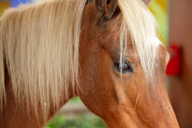 Similar image 6081752