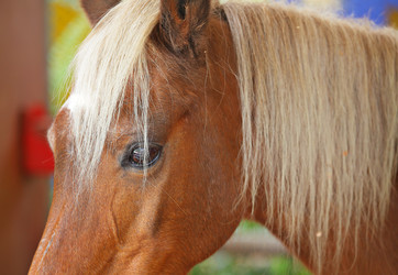 Similar image 6081753