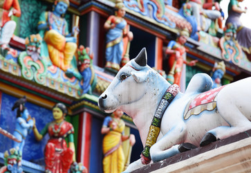 Similar image 6081754