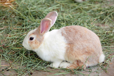 Similar image 6081789