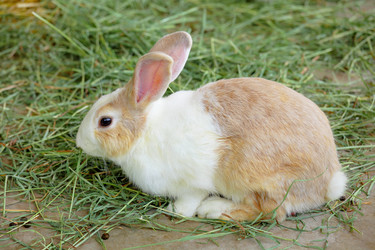 Similar image 6081800