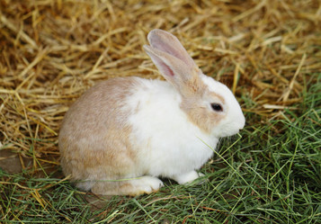 Similar image 6081810