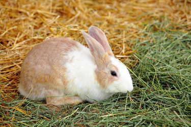 Similar image 6081813