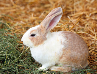 Similar image 6081815