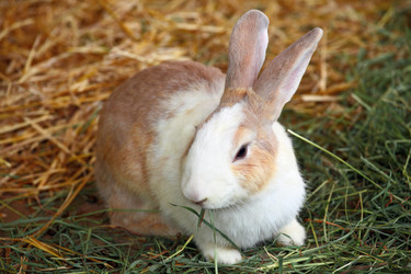 Similar image 6081817