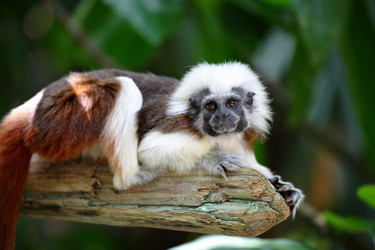 Similar image 6081843