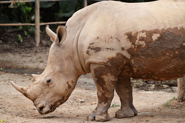 Similar image 6081870