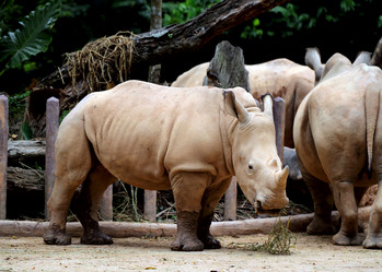 Similar image 6081873