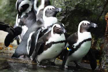 Similar image 6081887