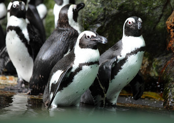 Similar image 6081908