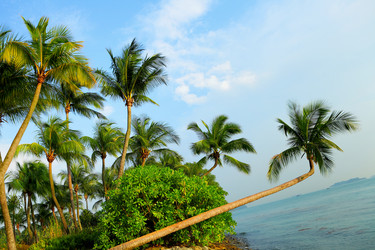 Similar image 6081927