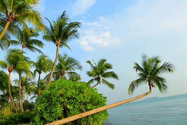 Similar image 6081928