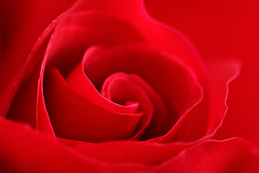 Similar image 6081956