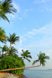 Similar image 6081972