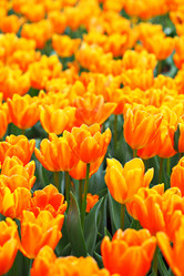 Similar image 6082374