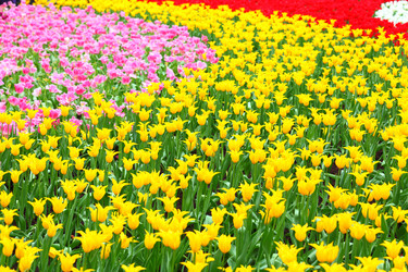 Similar image 6082375