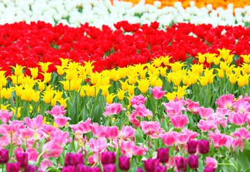 Similar image 6082376