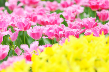 Similar image 6082384