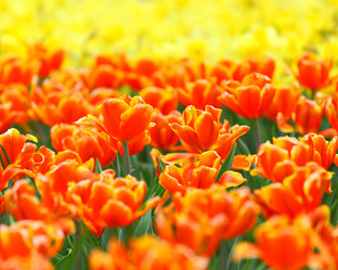 Similar image 6082386