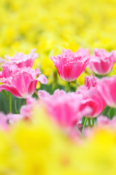 Similar image 6082390