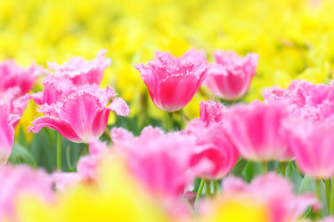 Similar image 6082391