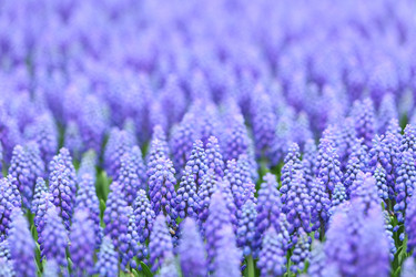 Similar image 6082392