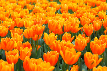 Similar image 6082396