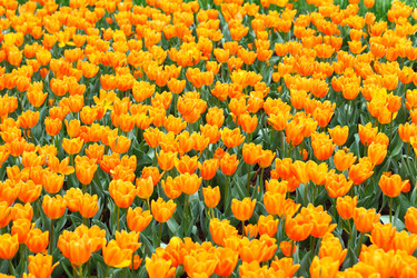 Similar image 6082402