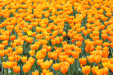 Similar image 6082407