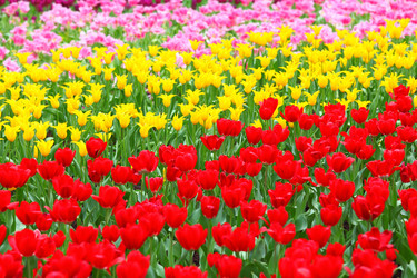 Similar image 6082409