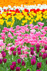 Similar image 6082428