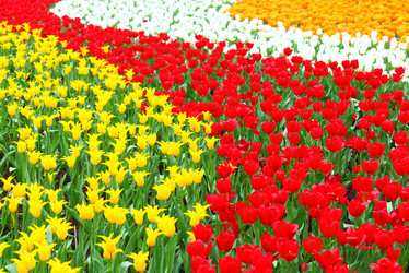 Similar image 6082438