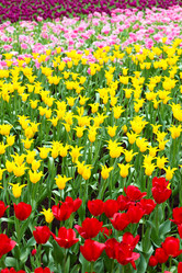 Similar image 6082441