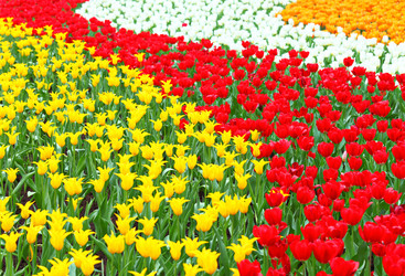 Similar image 6082443