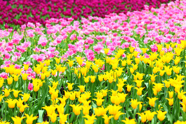 Similar image 6082448