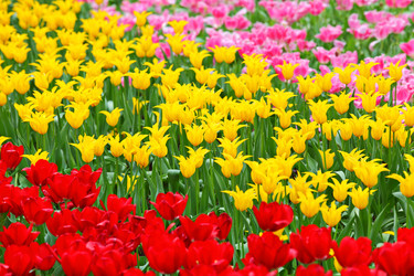 Similar image 6082455