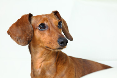 Similar image 6082469